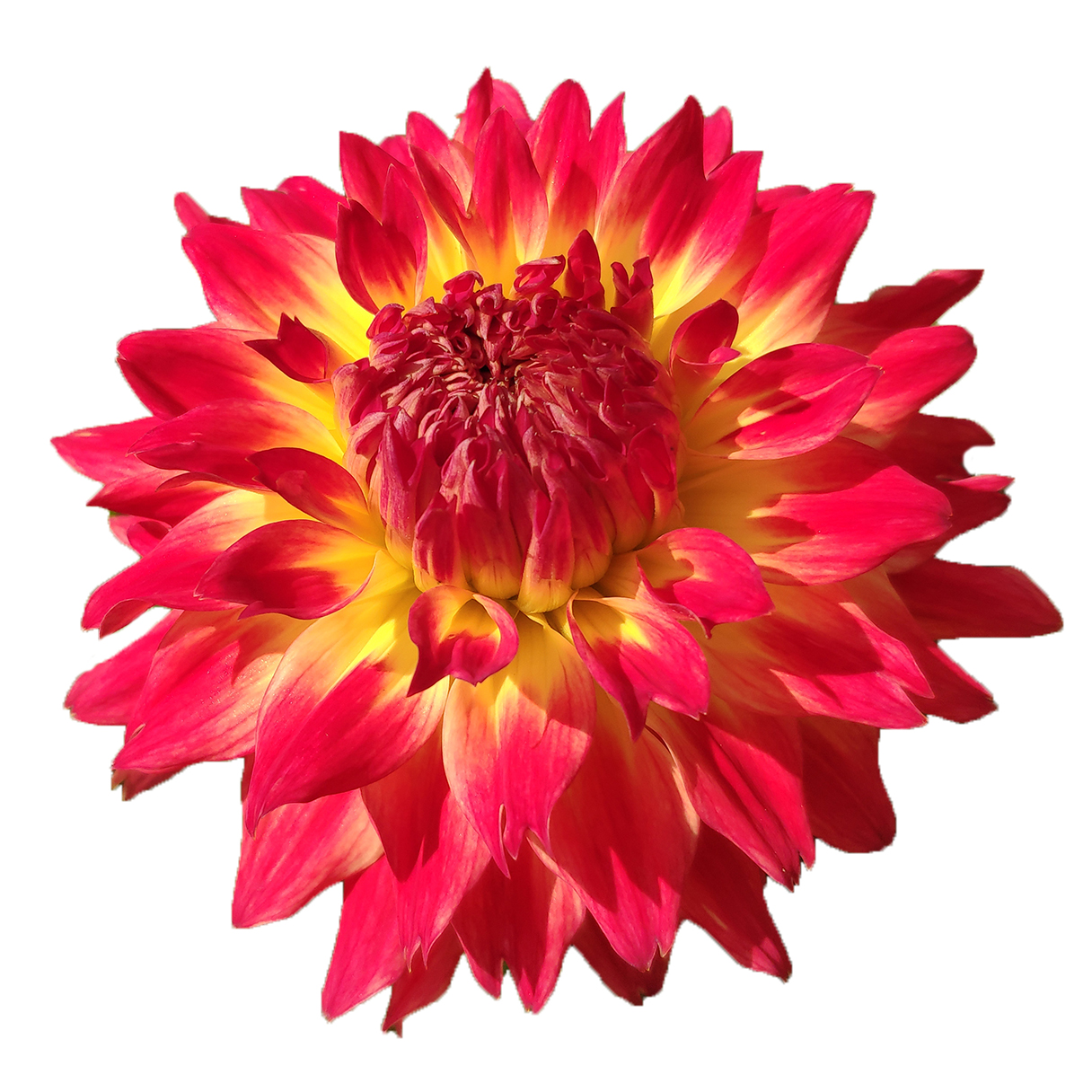 Placeholder image